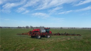 Spring Spraying