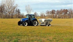 Fertilizing