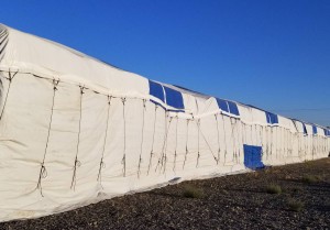 fully tarped