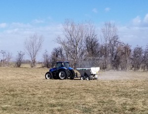 fertilizing