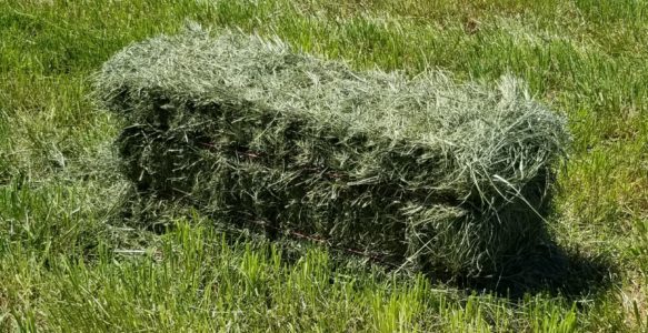 2022 Hay Prices