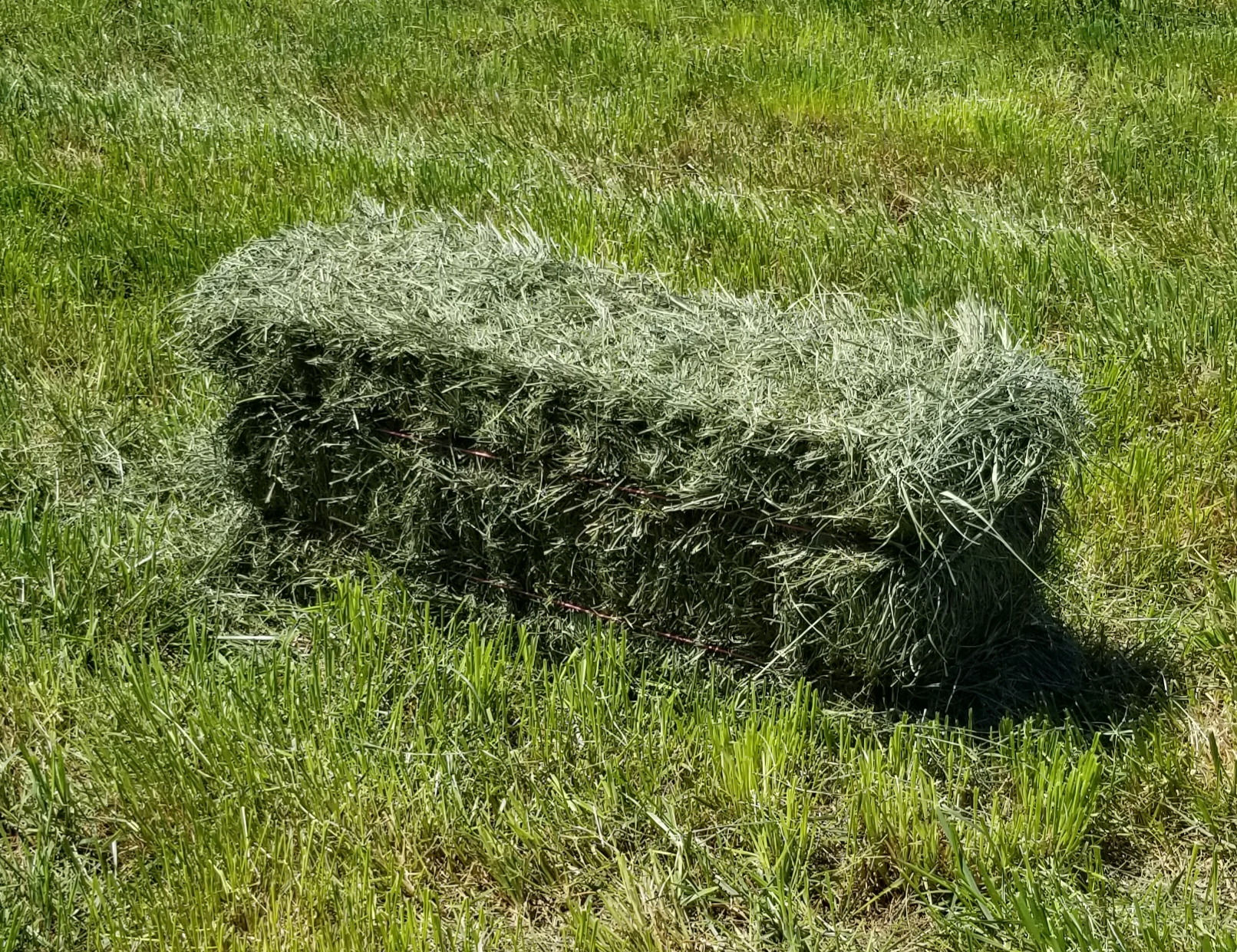 2022 Hay Prices