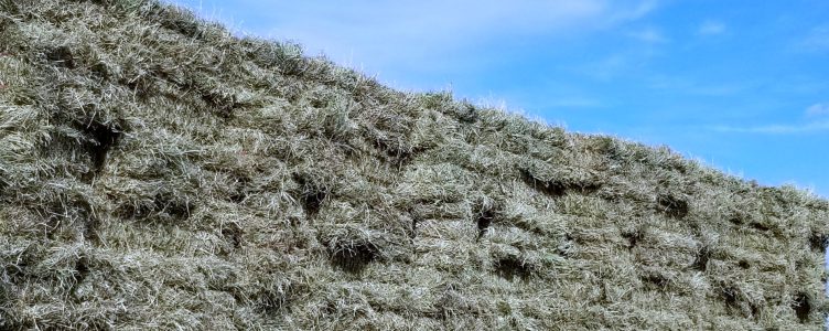 2022 Hay Shortage