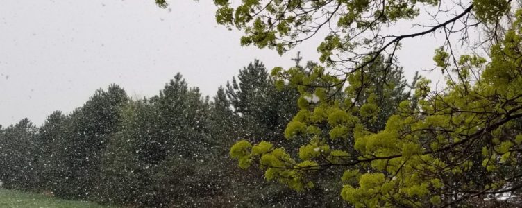 Non-typical April Showers!